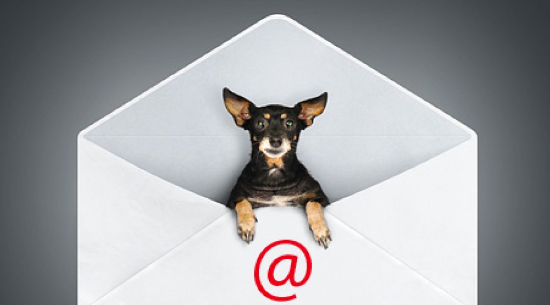 E-mailmarketing: makkelijk middel om klanten te binden