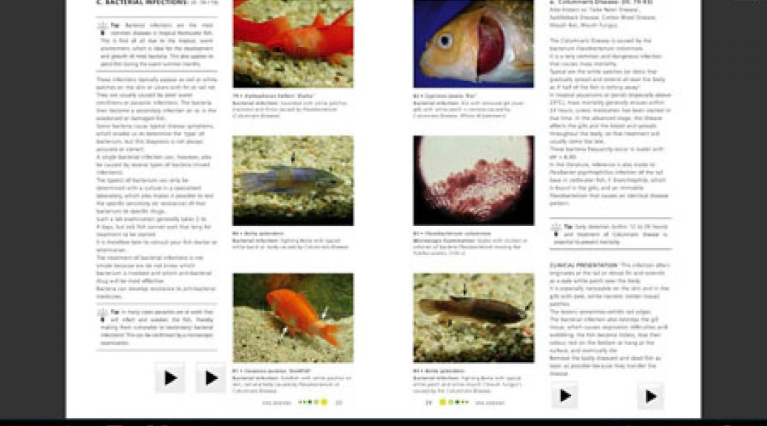 Gemakkelijk visziekten opzoeken met de Fish Doctor-app
