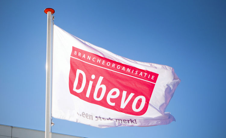 Dibevo-vlag