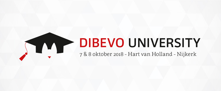 Dibevo University beeldmerk