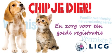 Banner Juni Chipmaand