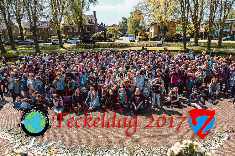 Dag van de Teckel bij dierenwinkel ’t Dierenparadijs in Zoetermeer