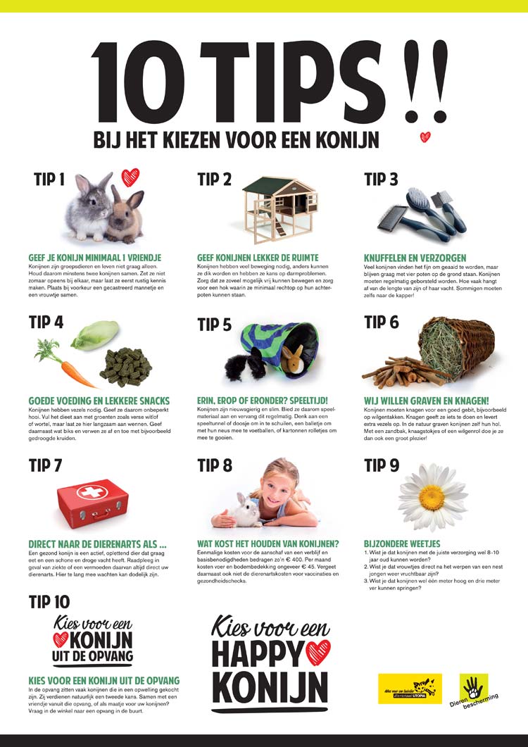 Happy Konijn poster met 10 tips