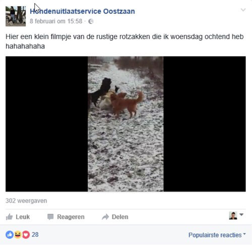 Filmpjes zijn de toekomst op Facebook