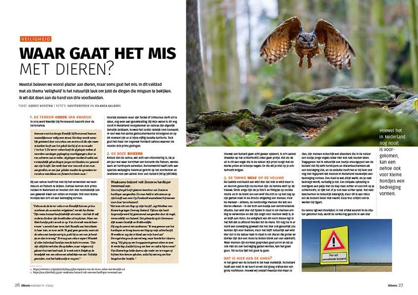 Dibevo-Vakblad 1 -2023