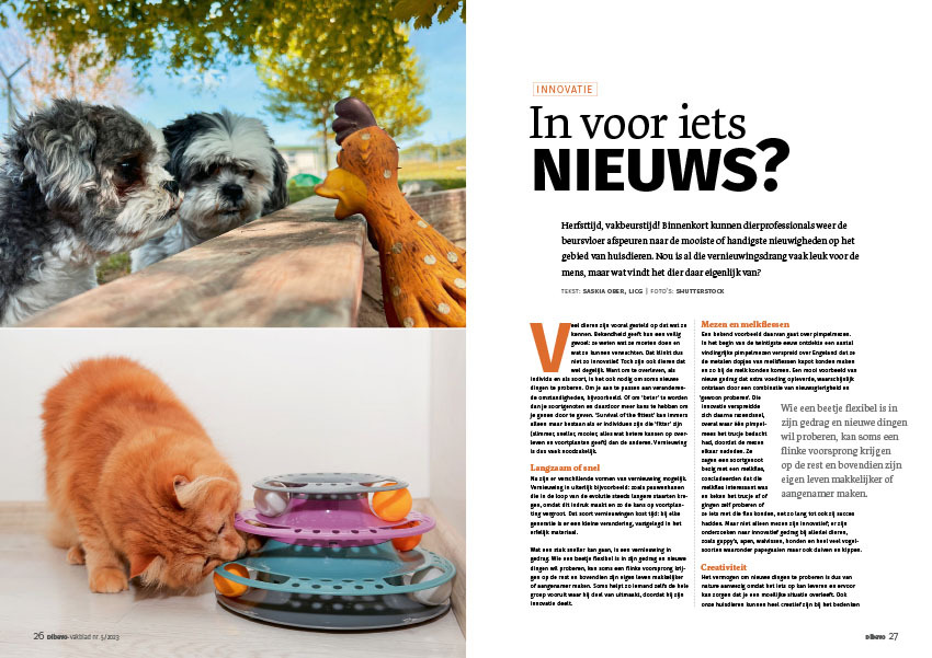 Dibevo-Vakblad 5