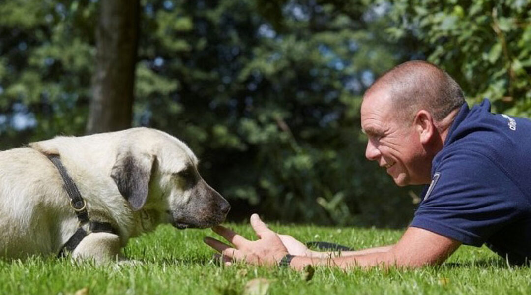 Naamsverandering voor Landelijke Inspectiedienst Dierenbescherming