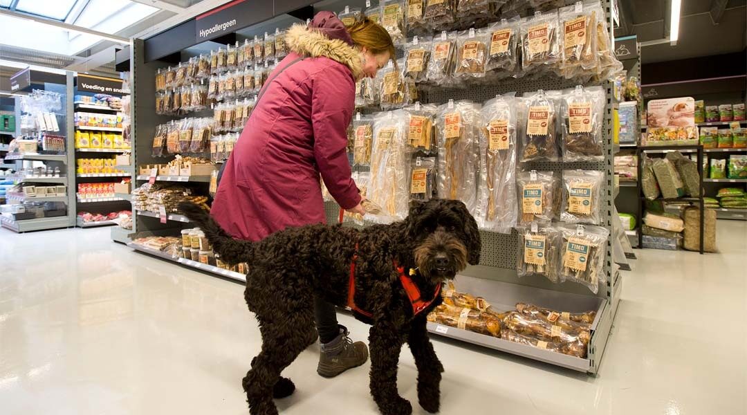 Pets Place: verkoop supplementen voor huisdieren met 20% gestegen