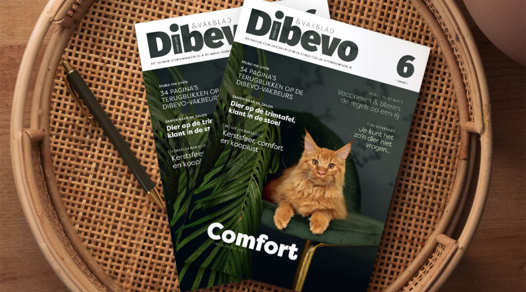 Dibevo-Vakblad 6: comfort + 34 pagina’s vakbeurs