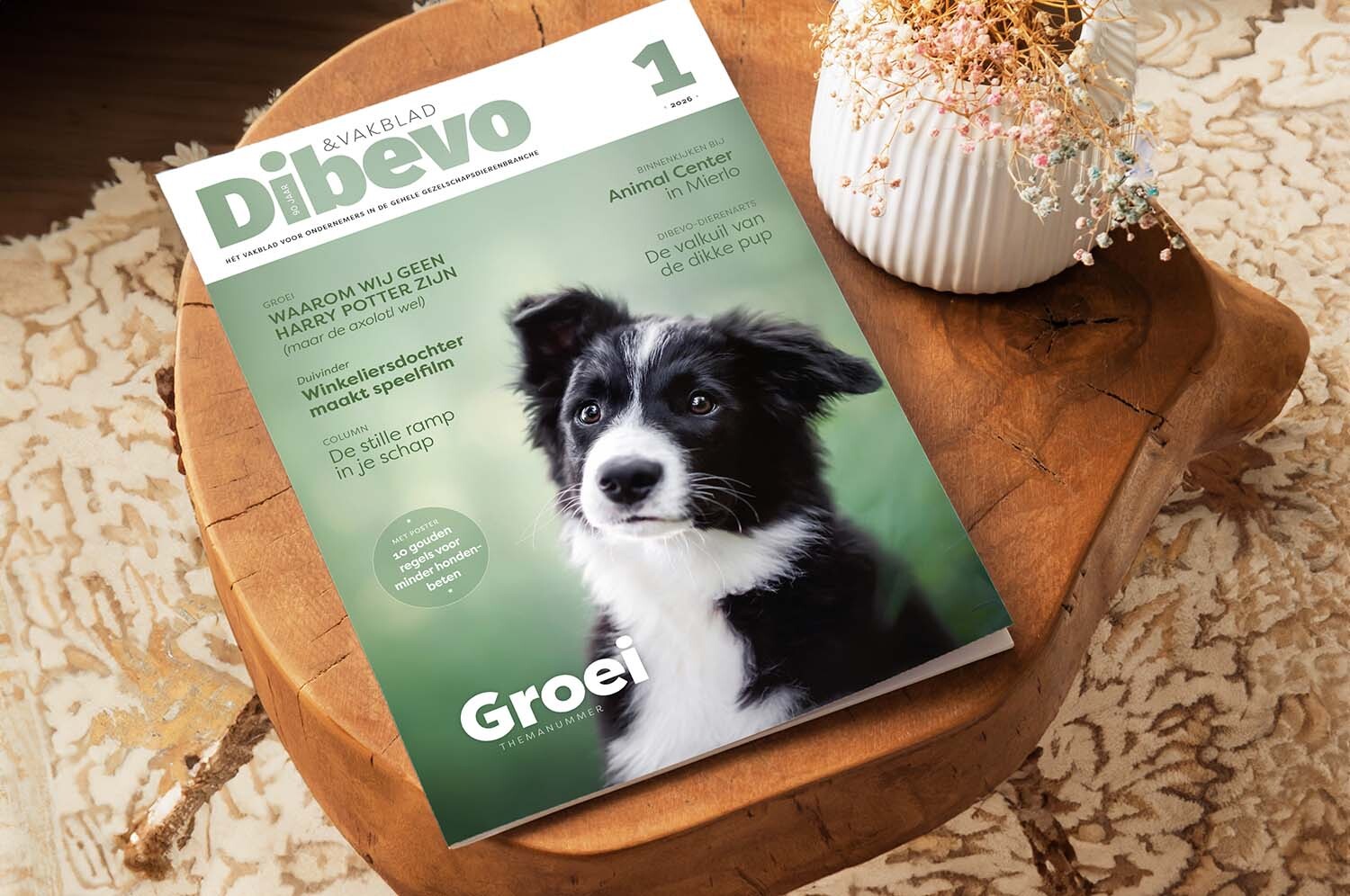 Dibevo-Vakblad 1