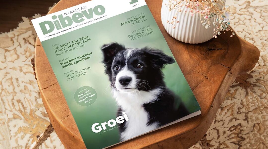Dibevo-Vakblad 1: Groei