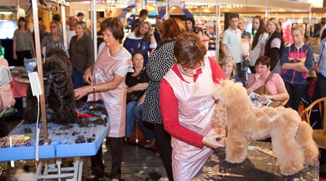 Demonstraties hondentrimmen met Europese primeur op Dibevo-Vakbeurs